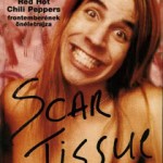 Scar Tissue by Anthony Kiedis cover
