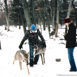Photo taken by Blackie Dammett of Anthony Kiedis with deer in the snow